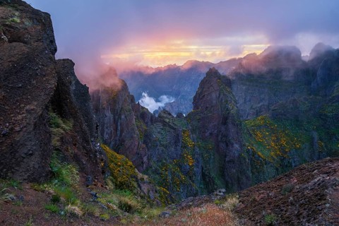 Mountains on sunset covered in fog and clouds with blooming Cytisus shrubs. Near Pico de Arieiro,