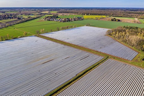 Asparagus fields near village Bröckel, rows covered with plastic foil, Lower Saxony, Germany,
