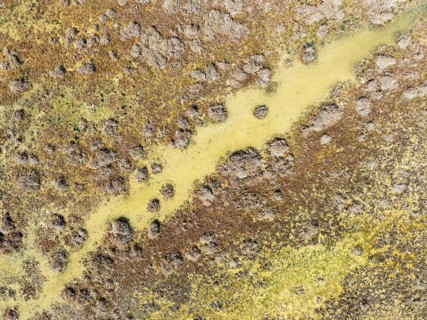 Detail of marshland near Sanlúcar de Barrameda. Aerial view. Drone shot. Cádiz province, Andalusia,