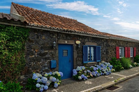 Former whaler's stone house with blue shutters and door, hydrangeas along the street, traditional