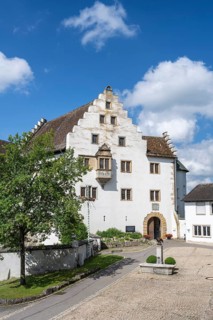 Flower field Castle in Hegau, Tengen, district of Constance, Baden-Württemberg, Germany, Europe