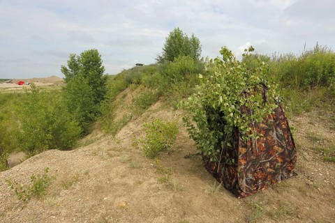 Camouflage tent of a nature photographer in a sand pit, camouflage hiding place, Lake Neusiedl