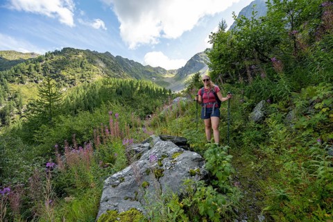 Hiking on a hiking trail, Carnic High Trail, Carnic Main Ridge, Carnic Alps, Carinthia, Austria,