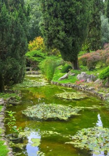 Pond in Parco Giardino Sigurtà, Valeggio sul Mincio, Province of Verona, Italy, Europe