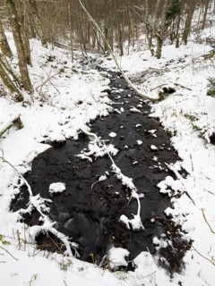 Hill Stream, the Schwartzbach, in snow and ice in November. The Rhön UNESCO Biosphere nature
