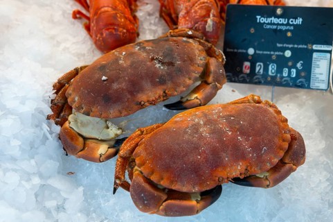 Two crabs presented on ice, with a price tag next to them, detailed photograph, fish market,