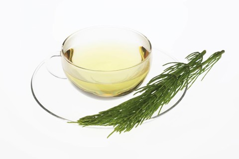 Horsetail tea, tea, medicinal tea, herbal tea, medicinal plant, Equisetum arvense, the field