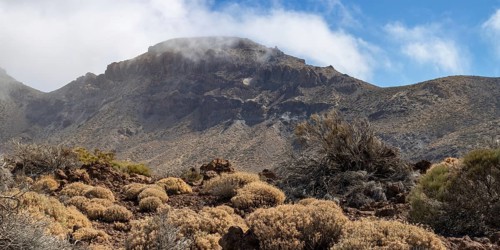 Faded Teide gorse and the summit of Montaña Guajara, also: Alto de Guajara, 2715m, crater walls,