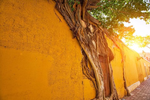 Mexico, Mazatlan, Colorful old city streets in historic city center, Central America