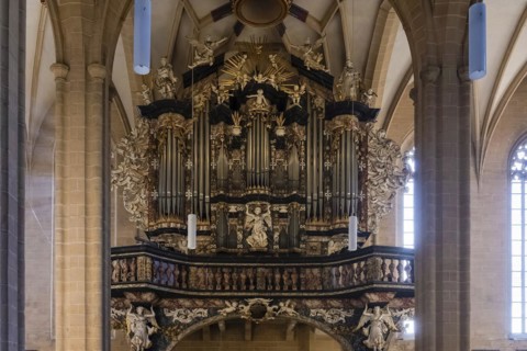 Church of St, Severi Erfurt, main organ, Erfurt, Thuringia, Germany, Europe