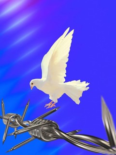 Symbolic image, dove of peace, peoples, international understanding, peace, threat of war, freedom,