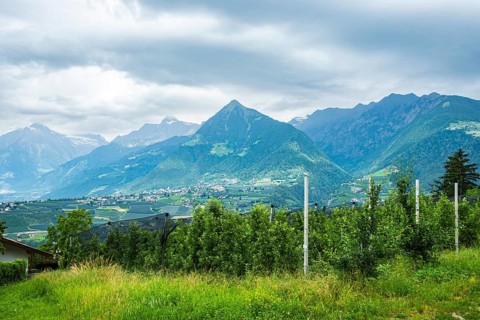 Orchards nestled in the picturesque Alpine landscape above Merano in the municipality of Scena,