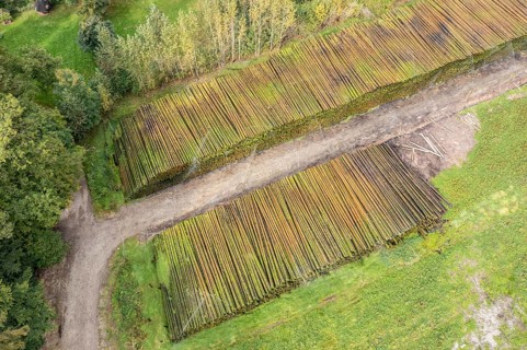Aerial view of a timber yard, tree trunks get conservated by sprinkling water on the wood, Germany,