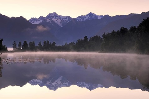 Trees reflected in Lake Matheson, Westland National Park, South West New Zealand World Heritage