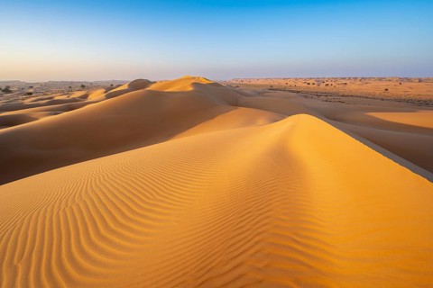 Sand dunes in the desert, near Duqm, Oman, Asia