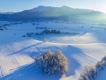 Aerial view of snow-covered trees in front of mountains, winter, evening light, view of Herzogstand