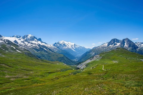 Flower meadow and mountain panorama with glaciated mountain peaks, view of Aiguille du Midi and