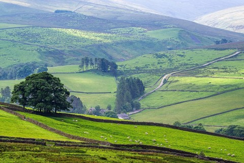 Farms over North Pennines, Cumbria, Durham, Northumberland, North Yorkshire, England, United