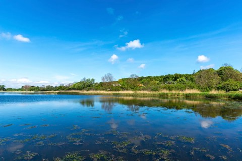 Nyborg, living in the countryside, reed banks, forest, groups of trees, individual houses, idyll,