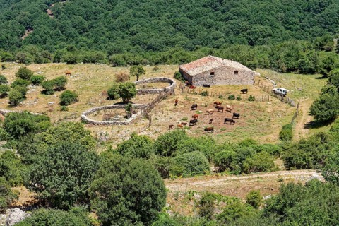 A farm in the Parco delle Madonie nature park. Cefalu, Sicily, Italy, Southern Europe, Europe