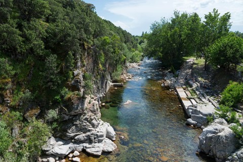 Klarer Fluss durch eine felsige Waldlandschaft mit einem Uferweg und üppigem Grün unter einem