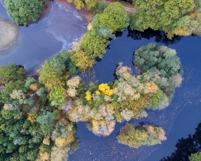 Mixed forest in autumn, colouring, aerial view, forest, autumnal, Ahlhorn fish ponds,