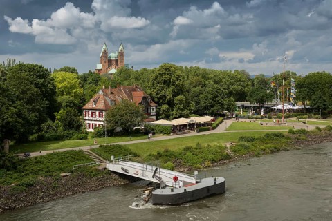Beer garden on the Rhine and imperial cathedral, St Mary's and St Stephen's Cathedral, UNESCO World