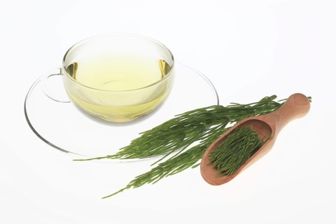 Horsetail tea, tea, medicinal tea, herbal tea, medicinal plant, Equisetum arvense, the field