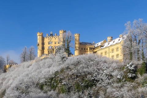Historic yellow castle surrounded by snow and wintry trees under a clear sky, Hohenschwangau