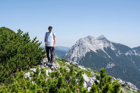 Mountaineer on the foresummit of Hochunnütz with mountain pines, summit of Seekarspitze in the