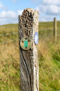 Wooden post sign waymark Mid Wilts Way, White Horse Trail, Martinsell Hill, Wiltshire, England, UK