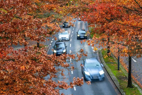 Autumn, road traffic, inner-city, trees in autumnal colours line a 4-lane road, symbolic image,