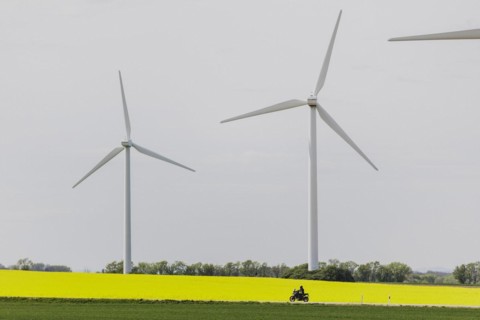 A motorbike on a country road stands out in front of a rapeseed field and wind turbines in