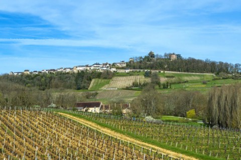 Sancerre labelled Les Plus Beaux Villages de France. View of the village and its vineyard. Cher