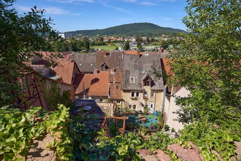 Old wall with ivy (Hedera helix) and view of the roofs and landscape from the Schlossgasse in