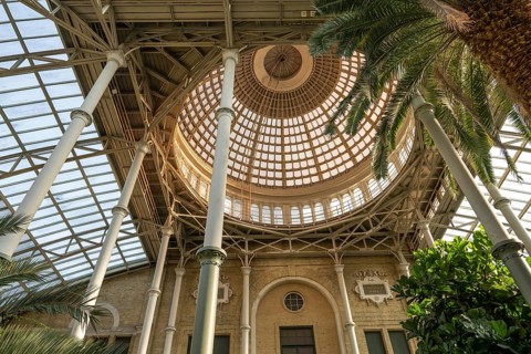 Central hall with dome, palm garden, Ny Carlsberg Glyptotek or New Carlsberg Glyptothek, art museum