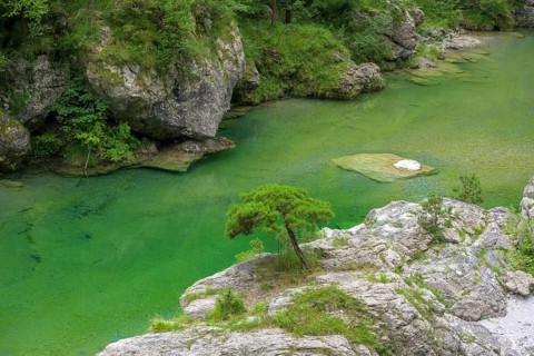 Emerald green river Pozze Smeraldine, Tramonti di Sopra, Province of Pordenone, Italy, Europe
