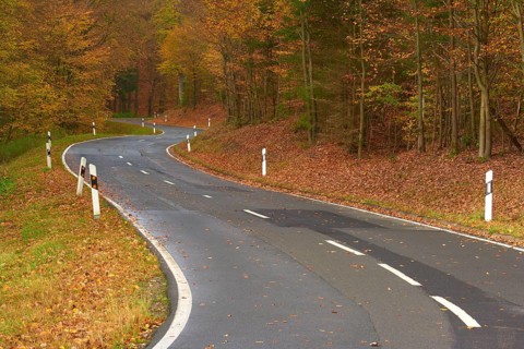 A winding road leads through an autumnal forest, covered with falling leaves, Altenbuch, Miltenberg