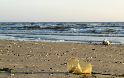 Plastic waste on the beach of the Baltic Sea, September, Germany, Europe