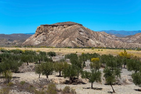 Rocky mountains in an arid landscape with scattered trees under a clear blue sky, Llano de Buho,