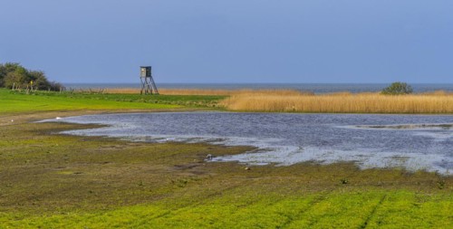 Lowlands on the Bodden on Rügen, Mönchgut peninsula, Mecklenburg-Western Pomerania, Germany, Europe