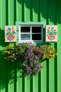 Window with painted shutters and flower box with geraniums (Pelargonium spec.) in old colourfully