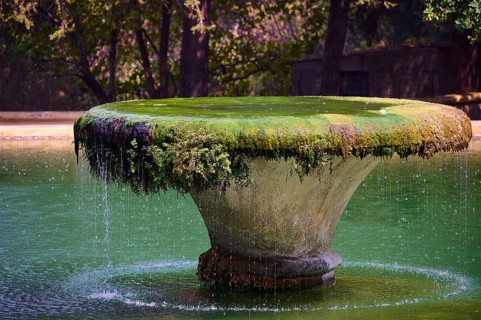 A moss-covered fountain in a green expanse of water surrounded by trees with a relaxed atmosphere,