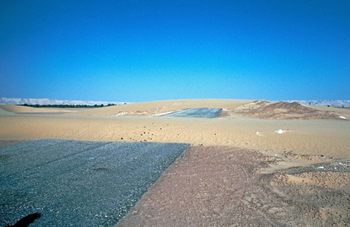 Road blocked by sickle dune, Oasis ad-Dachla, Libyan Desert, Egypt, Africa