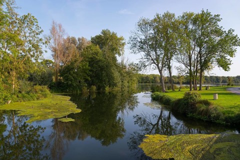 A calm river with clear reflections of trees and surrounded by lush vegetation and aquatic plants,