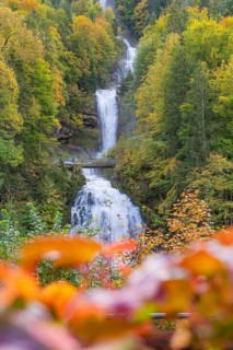 Impressive waterfall, surrounded by an autumnal forest, with bright leaves in the foreground,