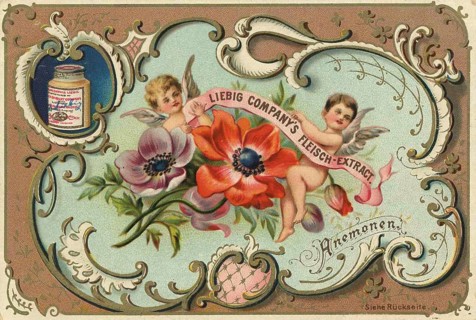 Picture series Children and flowers, anemones, Liebig picture, digitally restored reproduction of a