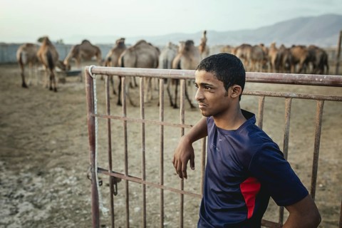 Thamer, son of camel breeder Said Shafari, Salalah camel farm, Dhofar, Oman, Asia