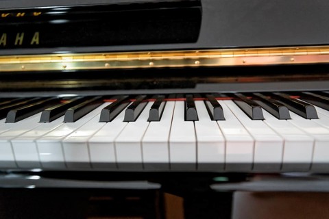 Piano keys, electric piano