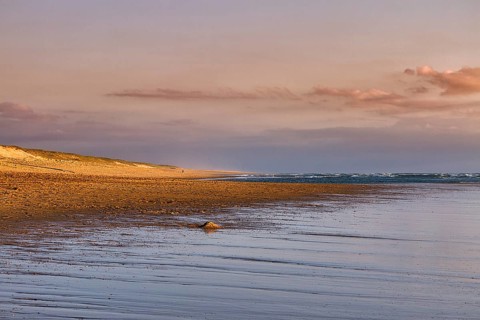 Coastline in the evening light, beach and dunes at Soustons Plage, Silver Coast, Côte dArgent,
